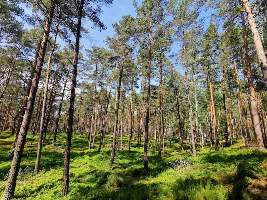 Campolohel- Przyczepa Kempingowa Экстерьер фото